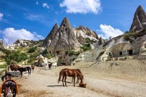 14 Days Turkey Tour